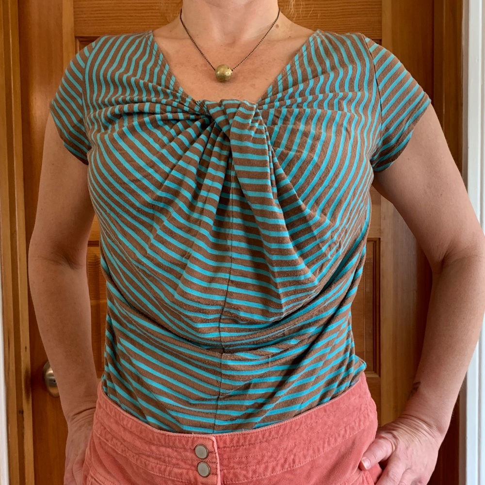 brown/blue stripe tee shirt